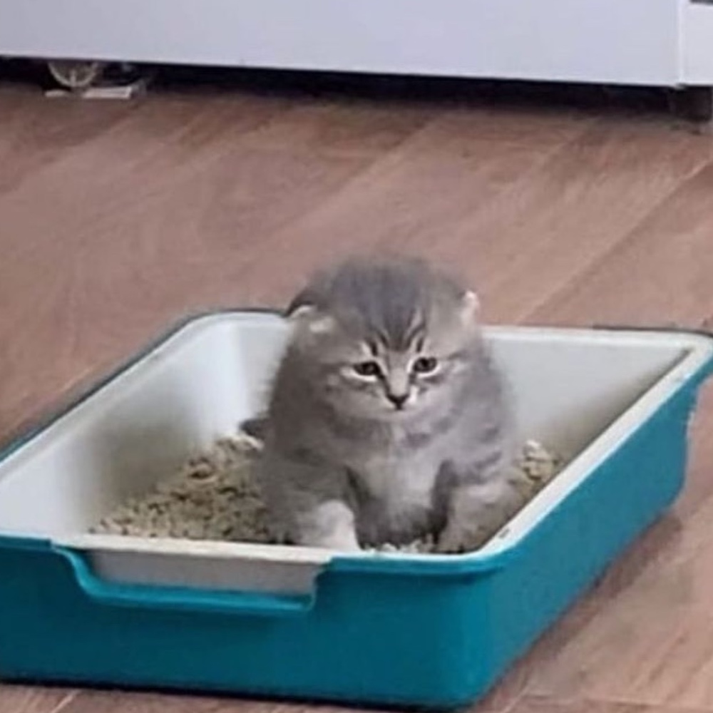 Howdy!